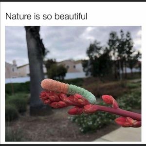 Meet your Posher, Antwan